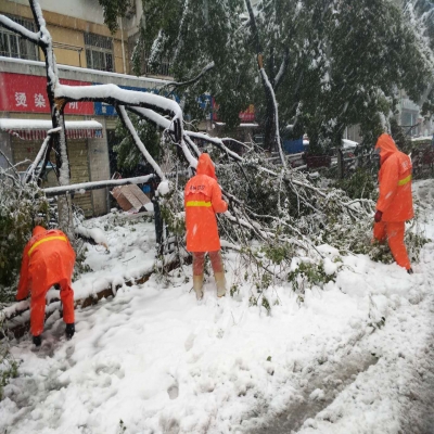 新站區(qū)道路清掃保潔、綠化管養(yǎng)項(xiàng)目